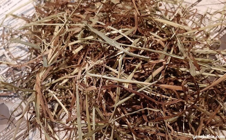 ネイチャーブリードの茶色い牧草