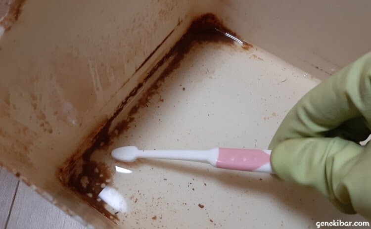 うさぎトイレについた尿石をクエン酸と歯ブラシで掃除する