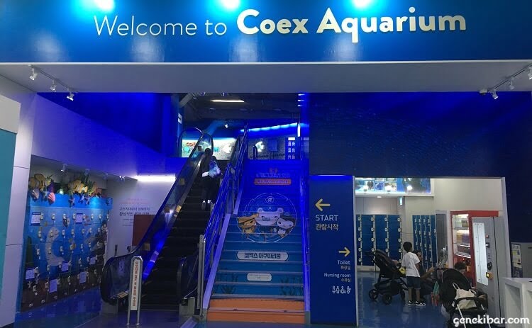 COEX水族館へようこそ