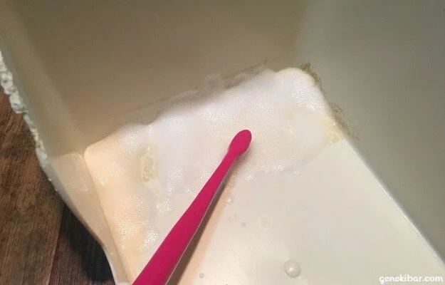 トイレを歯ブラシで磨く