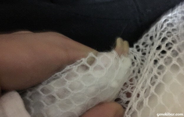 洗濯ネットから出たウサギの後ろ足の爪