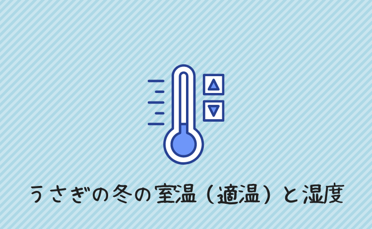 うさぎの冬の室温（適温）と湿度、温度管理の方法