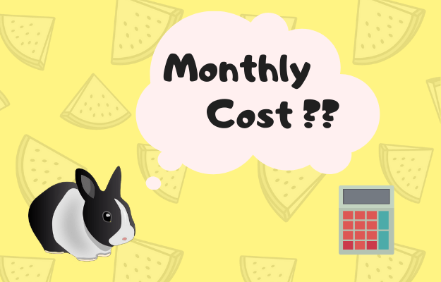 食費 その他 うさぎの生活を維持するために必要な1か月の飼育費用 Genekibar Com