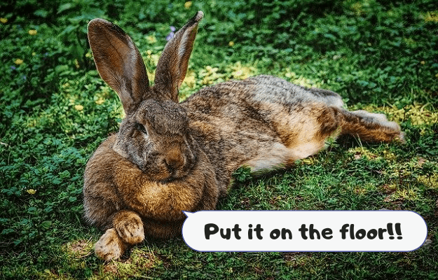 うさぎが牧草を食べない時に食べさせる方法はなんと 床の上に置くだけ ゲンエキバー