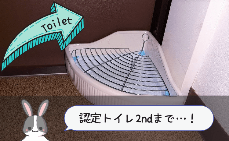 うさぎがトイレ以外でおしっこをする場所に陶器製のトイレを設置した